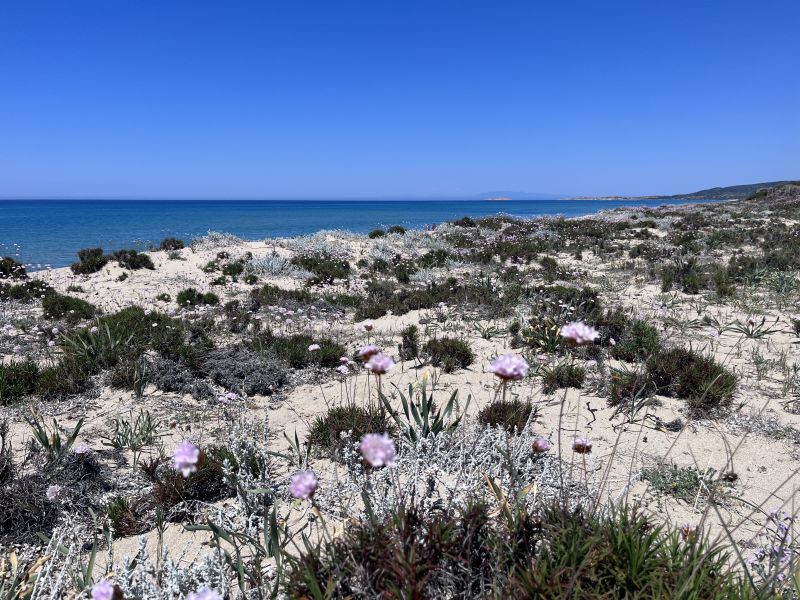 foto 19 Mietobjekt von Privatpersonen Badesi maison Sardinien Olbia Tempio (+ Umland) Strand