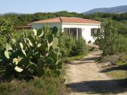 Ferienunterknfte Olbia Tempio (+ Umland): maison Nr. 73670