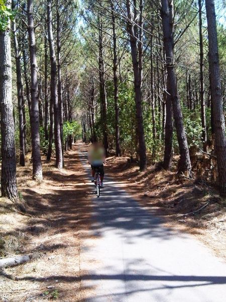 foto 19 Mietobjekt von Privatpersonen Ares maison Aquitanien Gironde Nahaufnahme