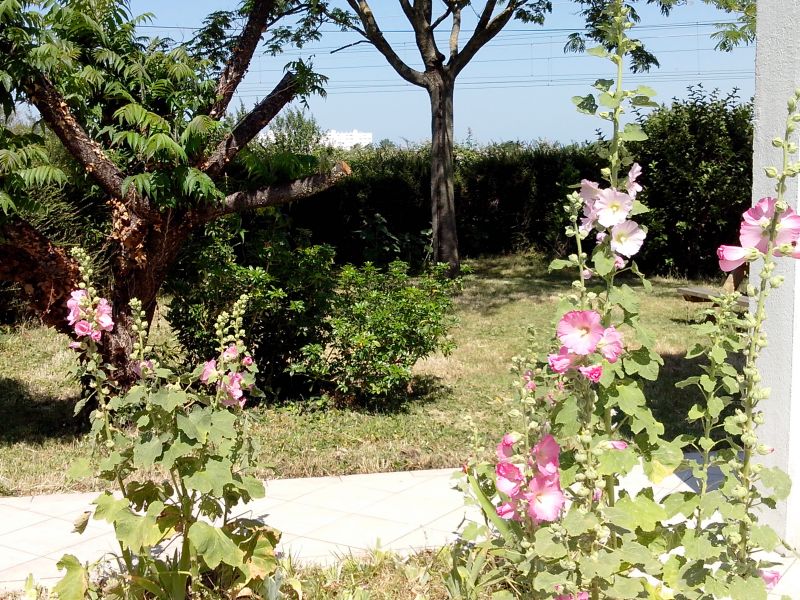 foto 12 Mietobjekt von Privatpersonen La Rochelle maison Poitou-Charentes Charente-Maritime Garten