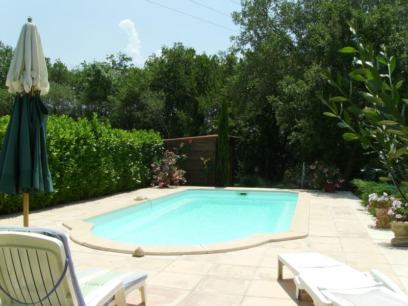 foto 2 Mietobjekt von Privatpersonen Apt gite Provence-Alpes-Cte d'Azur Vaucluse Schwimmbad