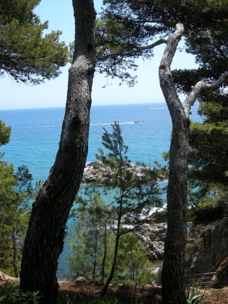 foto 2 Mietobjekt von Privatpersonen Sant Antoni de Calonge appartement Katalonien Provinz Girona Ausblick von der Terrasse