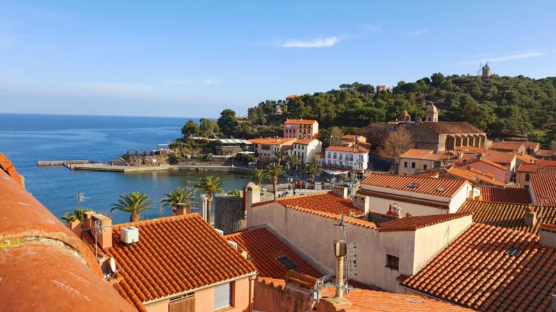 foto 1 Mietobjekt von Privatpersonen Collioure appartement Languedoc-Roussillon Pyrenen (Mittelmeer) Ausblick von der Terrasse