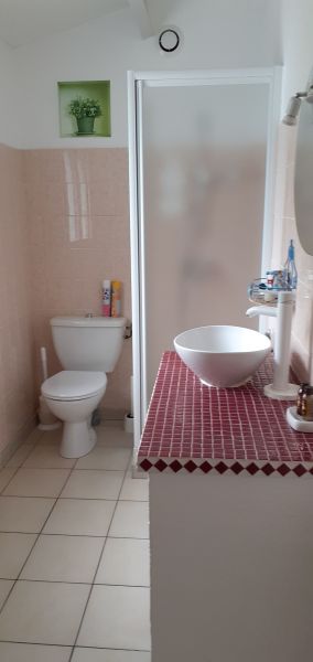 foto 8 Mietobjekt von Privatpersonen La Bre les Bains maison Poitou-Charentes Charente-Maritime