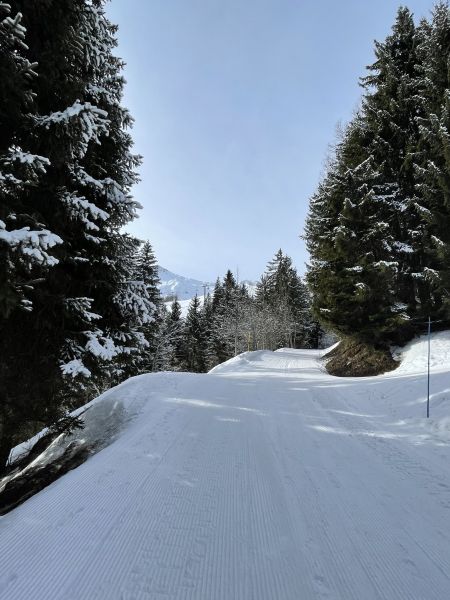 foto 24 Mietobjekt von Privatpersonen Valmorel appartement Rhne-Alpes Savoyen Nahaufnahme