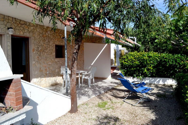 foto 1 Mietobjekt von Privatpersonen Pescoluse maison Apulien Lecce (+Umland) Garten