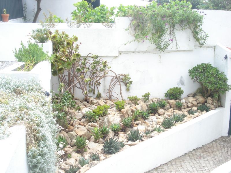 foto 26 Mietobjekt von Privatpersonen Sesimbra villa Grande Lisboa und Setbal Setbal Garten
