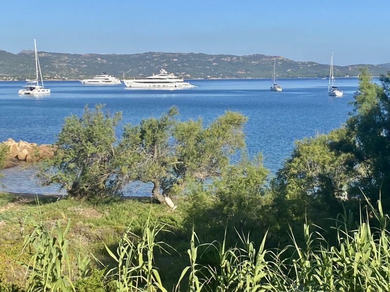 foto 4 Mietobjekt von Privatpersonen Baja Sardinia appartement Sardinien Olbia Tempio (+ Umland) Ausblick aus der Ferienunterkunft