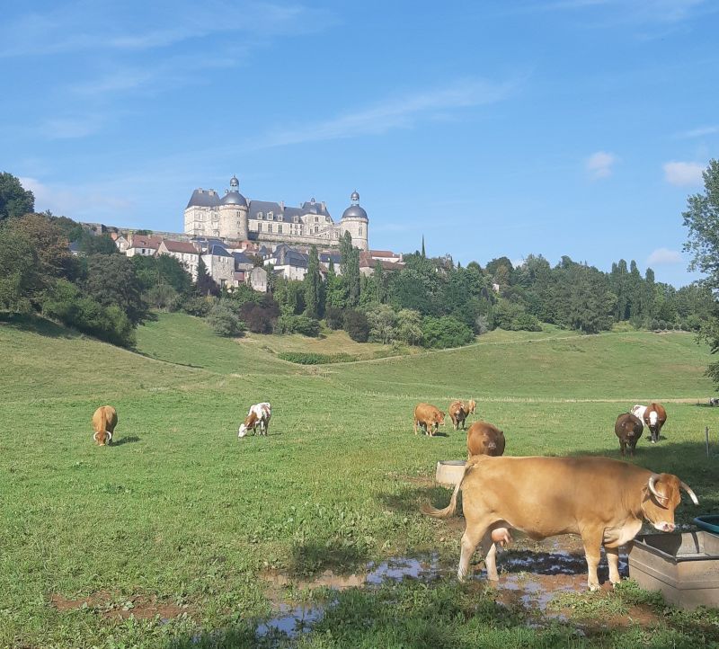 foto 8 Mietobjekt von Privatpersonen  gite Limousin Corrze Nahaufnahme