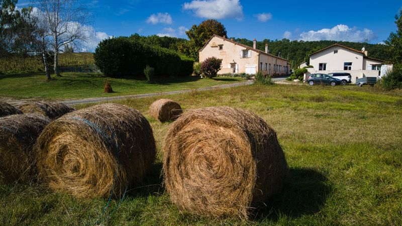 foto 9 Mietobjekt von Privatpersonen Bergerac gite Aquitanien Dordogne