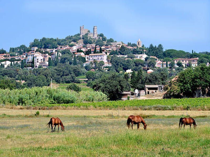 foto 23 Mietobjekt von Privatpersonen Grimaud appartement Provence-Alpes-Cte d'Azur Var