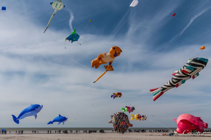 foto 4 Mietobjekt von Privatpersonen Berck-Plage studio Nord-Pas de Calais Pas de Calais Strand