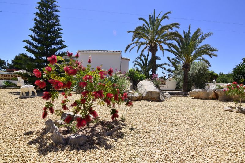 foto 3 Mietobjekt von Privatpersonen Calpe villa Region Valencia Provinz Alicante Garten