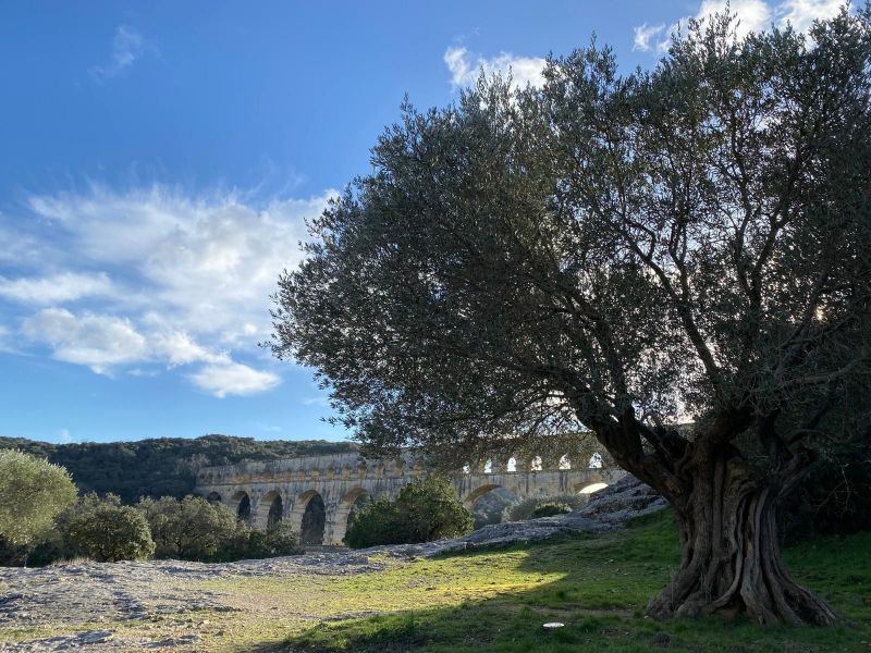 foto 15 Mietobjekt von Privatpersonen Uzs villa Languedoc-Roussillon Gard