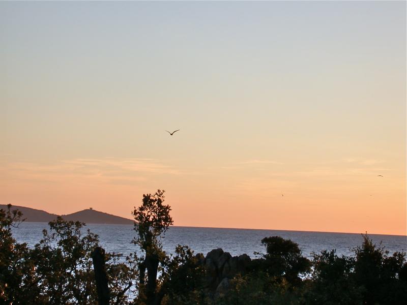 foto 14 Mietobjekt von Privatpersonen Propriano villa Korsika Corse du Sud Ausblick aus der Ferienunterkunft