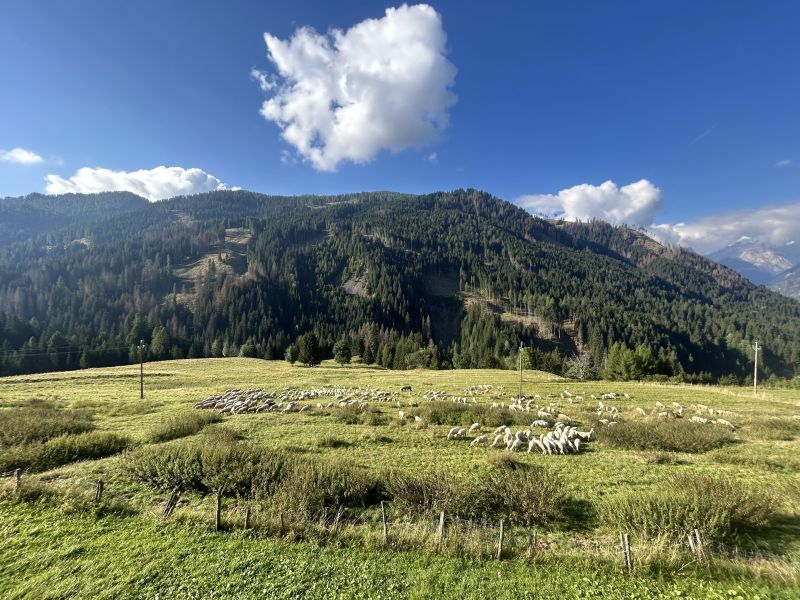 foto 4 Mietobjekt von Privatpersonen Selva di Cadore appartement Venezien Belluno (+Umgebung)