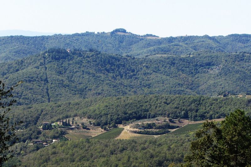 foto 27 Mietobjekt von Privatpersonen Siena gite Toskana  Ausblick aus der Ferienunterkunft