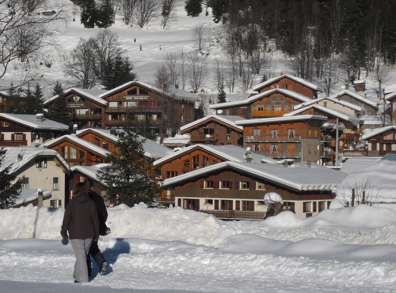 foto 17 Mietobjekt von Privatpersonen Pralognan la Vanoise appartement Rhne-Alpes Savoyen Nahaufnahme