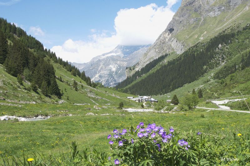 foto 19 Mietobjekt von Privatpersonen Pralognan la Vanoise appartement Rhne-Alpes Savoyen Nahaufnahme