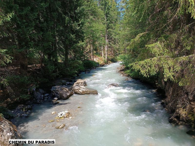 foto 17 Mietobjekt von Privatpersonen Chamonix Mont-Blanc appartement Rhne-Alpes Haute-Savoie andere