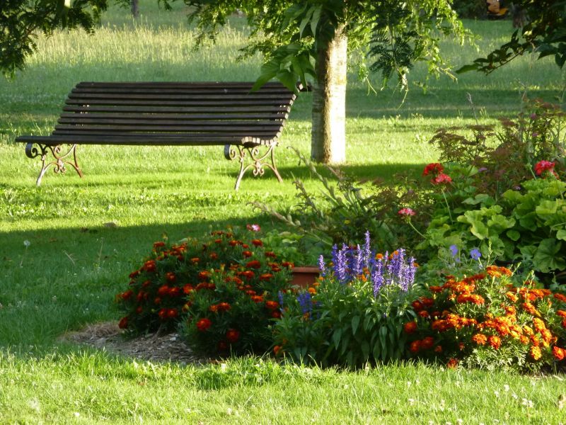 foto 20 Mietobjekt von Privatpersonen La Rochelle gite Poitou-Charentes Charente-Maritime Garten