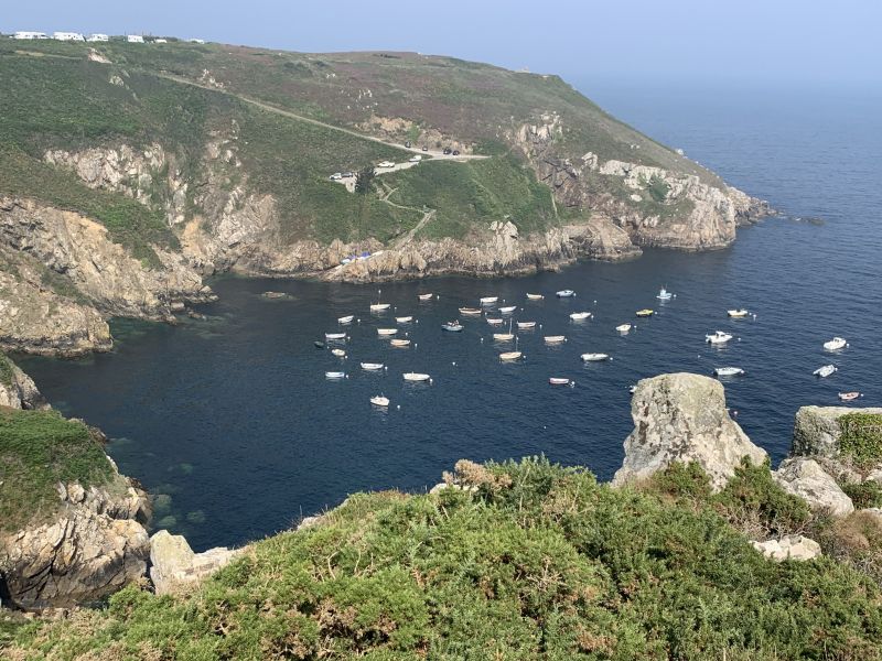 foto 20 Mietobjekt von Privatpersonen Audierne gite Bretagne Finistre Nahaufnahme