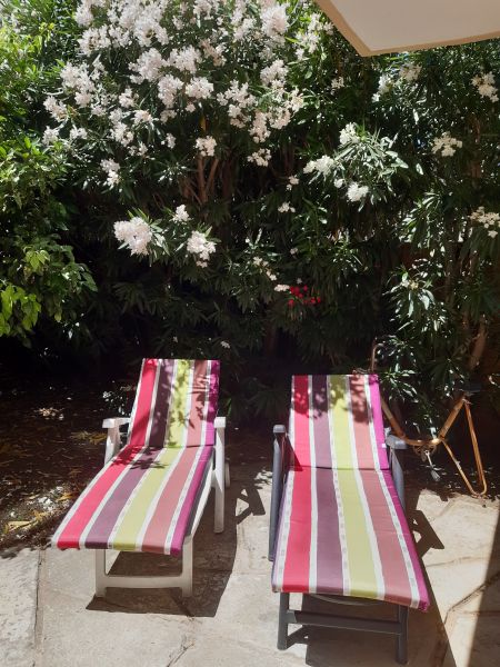 foto 11 Mietobjekt von Privatpersonen La Seyne sur Mer appartement Provence-Alpes-Cte d'Azur Var Garten