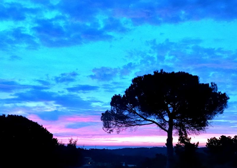 foto 19 Mietobjekt von Privatpersonen Lloret de Mar villa Katalonien  Ausblick aus der Ferienunterkunft