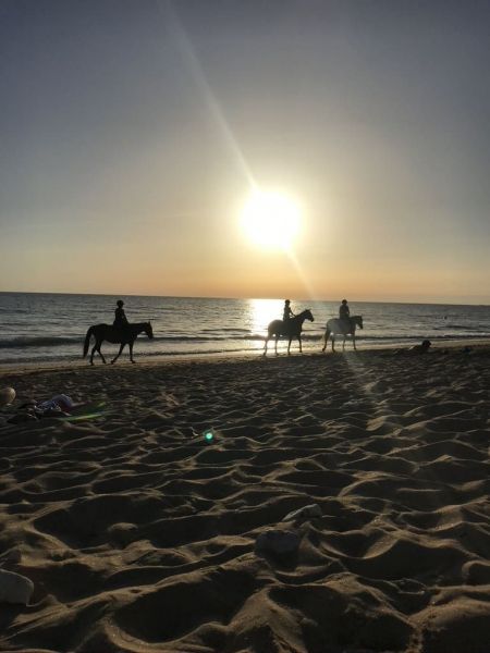 foto 19 Mietobjekt von Privatpersonen Dolus d'Olron maison Poitou-Charentes Charente-Maritime Strand