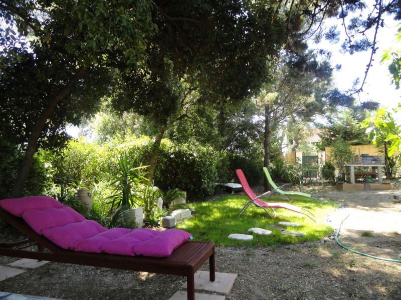 foto 5 Mietobjekt von Privatpersonen La Seyne sur Mer maison Provence-Alpes-Cte d'Azur Var Garten