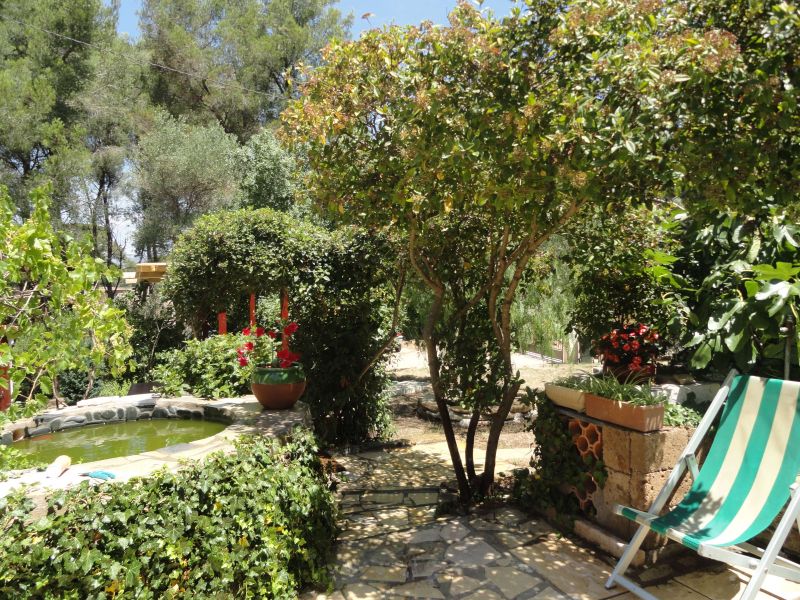 foto 3 Mietobjekt von Privatpersonen La Seyne sur Mer maison Provence-Alpes-Cte d'Azur Var Garten