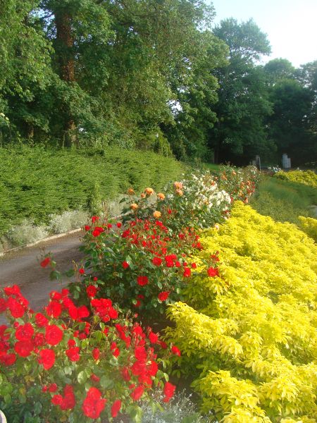 foto 14 Mietobjekt von Privatpersonen Arromanches gite Basse-Normandie Calva Garten