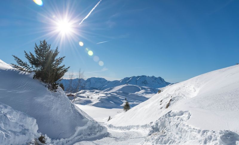 foto 21 Mietobjekt von Privatpersonen Oz en Oisans chalet Rhne-Alpes Isre Nahaufnahme