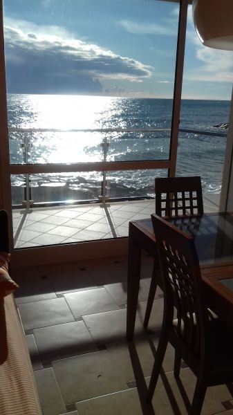 foto 7 Mietobjekt von Privatpersonen Diano Marina appartement Ligurien Imperia (+Umland) Ausblick vom Balkon