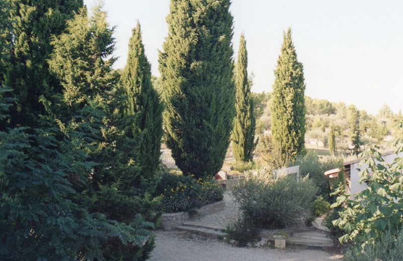foto 16 Mietobjekt von Privatpersonen Montpellier gite Languedoc-Roussillon Hrault Garten