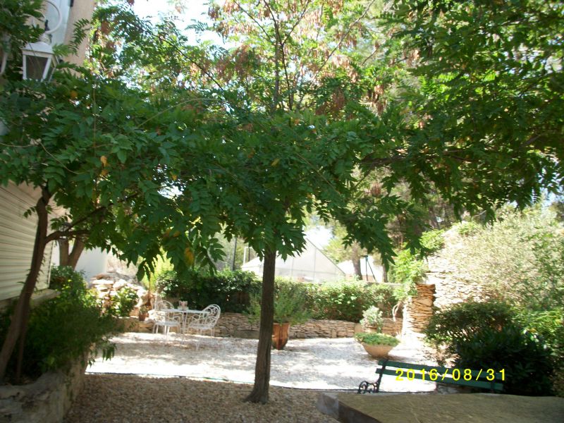 foto 20 Mietobjekt von Privatpersonen Montpellier gite Languedoc-Roussillon Hrault Garten