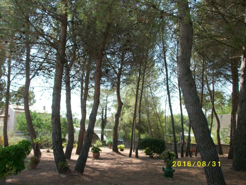 foto 23 Mietobjekt von Privatpersonen Montpellier gite Languedoc-Roussillon Hrault Garten