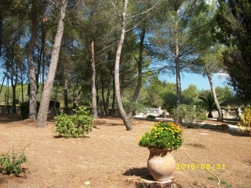 foto 24 Mietobjekt von Privatpersonen Montpellier gite Languedoc-Roussillon Hrault Garten