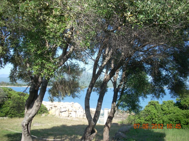 foto 3 Mietobjekt von Privatpersonen Porto Pollo villa Korsika Corse du Sud Ausblick von der Terrasse