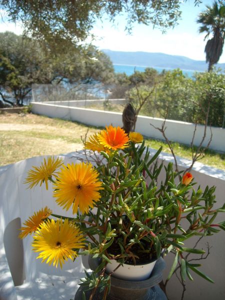 foto 24 Mietobjekt von Privatpersonen Porto Pollo villa Korsika Corse du Sud Ausblick von der Terrasse