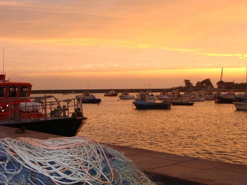 foto 22 Mietobjekt von Privatpersonen Barfleur maison Basse-Normandie Manche Nahaufnahme