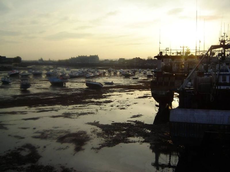 foto 23 Mietobjekt von Privatpersonen Barfleur maison Basse-Normandie Manche Nahaufnahme