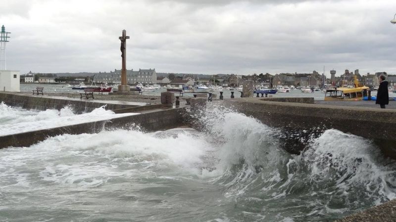 foto 25 Mietobjekt von Privatpersonen Barfleur maison Basse-Normandie Manche Nahaufnahme