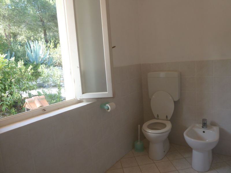 foto 12 Mietobjekt von Privatpersonen Campo nell'Elba appartement Toskana Elba Badezimmer