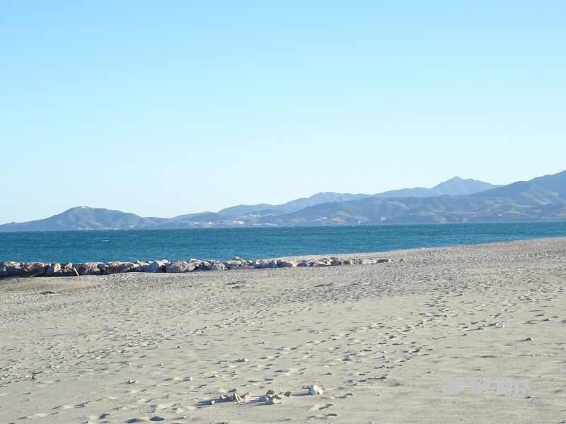 foto 2 Mietobjekt von Privatpersonen Saint Cyprien Plage studio Languedoc-Roussillon Pyrenen (Mittelmeer) Strand