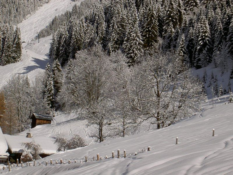 foto 2 Mietobjekt von Privatpersonen Chtel chalet Rhne-Alpes Haute-Savoie Ausblick aus der Ferienunterkunft