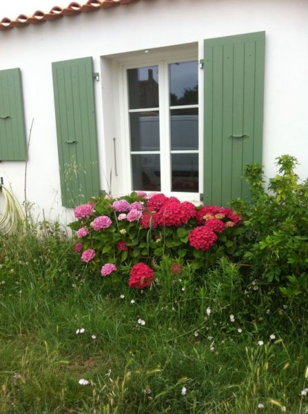 foto 1 Mietobjekt von Privatpersonen Dolus d'Olron villa Poitou-Charentes Charente-Maritime Ansicht des Objektes