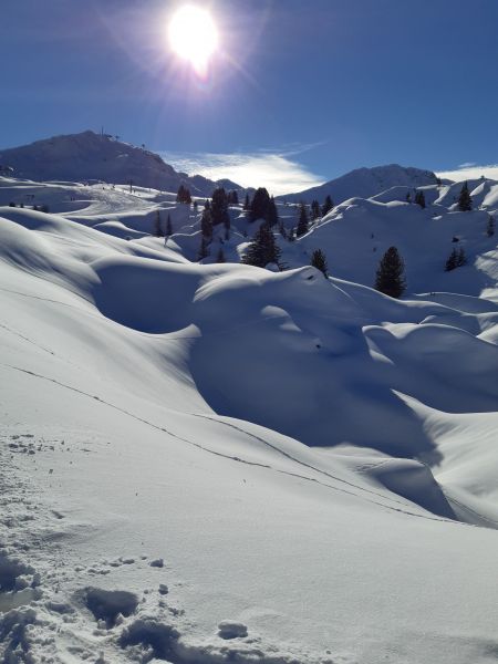 foto 21 Mietobjekt von Privatpersonen La Plagne appartement Rhne-Alpes Savoyen Nahaufnahme