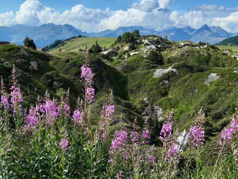 foto 23 Mietobjekt von Privatpersonen La Plagne appartement Rhne-Alpes Savoyen Nahaufnahme