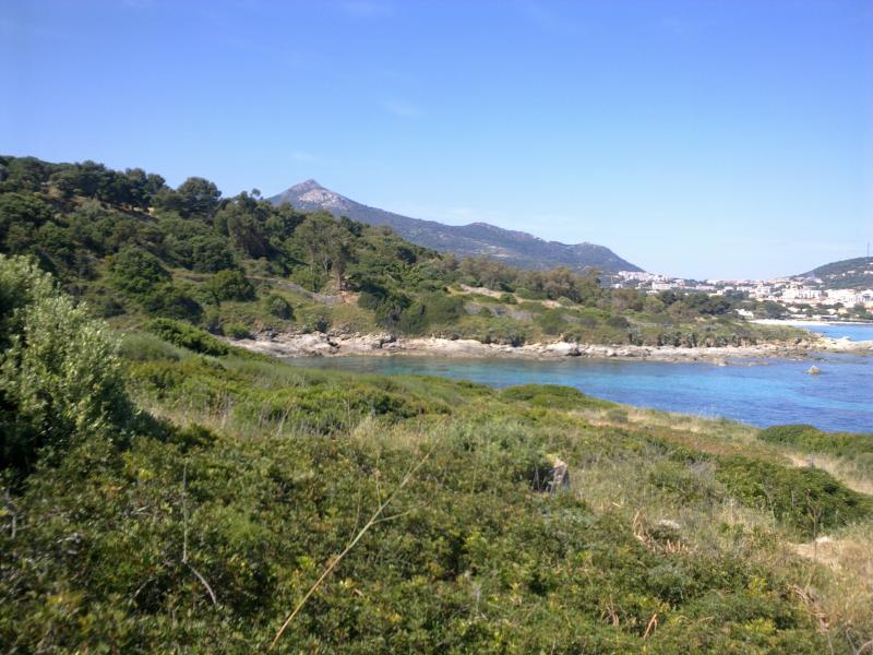 foto 1 Mietobjekt von Privatpersonen Location Ile Rousse appartement Korsika Haute-Corse Nahaufnahme